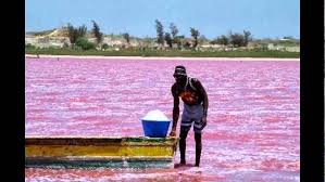 Australia's famous pink lake hillier is a sight to behold. Mysterious Pink Lake In Australia Youtube