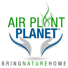Air Plant Planet logo