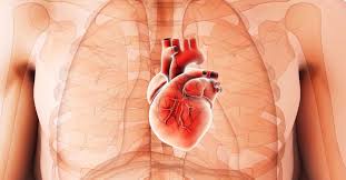 People with congenital heart problems or those who have problems with the electric system of their heart are. Cardiomegaly Diagnosis Treatment And Prevention