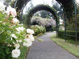 Gratis untuk komersial tidak perlu kredit bebas hak cipta. Enjoy Flora At Taman Bunga Nusantara Indoindians Com