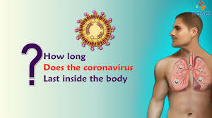 It was first identified in december 2019 in wuhan,. How Long Does The Coronavirus Last Inside The Body Youtube