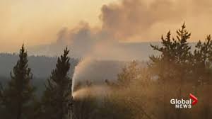 Logging and a fire in the 1930's left few of the original mature larch standing. Public Safety Issues Fire Ban For Saskatchewan Provincial Parks Crown Lands Due To Hot Dry Conditions Globalnews Ca