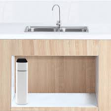 Echo RO Reverse Osmosis Water Filtration System