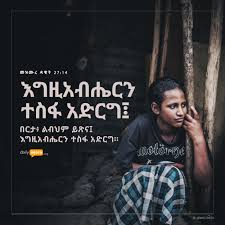 መዝሙረ ዳዊት 27 14 እግዚአብሔርን ተስፋ አድርግ በርታ ልብህም ይጽና እግዚአብሔርን ተስፋ አድርግ Psalm 27 14 Wait For The Lord Be Strong Ethiopian Quotes Daily Verses Bible Scriptures