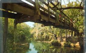 The park is fairly quiet and there is an abundance of wildlife. Florida Memory Bridge At Hillsborough River State Park Thonotosassa Florida