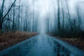 Il suffit de cliquer et regarder! 11 Rainy Woods Ideas Rainy Forest Wallpaper Forest