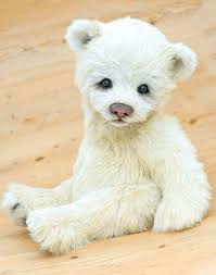 I Am Thrilled To Introduce My Latest Bear Oggie He S On Ebay From 9pm Uk Time Tonight And Is Up For 7 Days Teddy Bear Doll Teddy Bear Bear Stuffed Animal