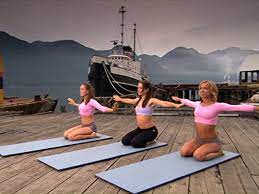 This is an incomplete list of mtv shows that have aired. Namaste Yoga Tv Series 2005 2006 Imdb