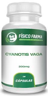 Image result for Cyanotis vaga