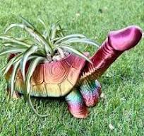 Pot De Fleurs Décoratif En Forme De Tortue, Mignon, Animal, Paysage, Pot De  Fleurs En Résine, Pot Succulent Pour Décoration De Jardin, Patio Extérieur  ...