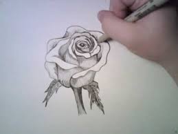 How To Draw A Rose Draw Central Drawings Flower Drawing Color Pencil Art