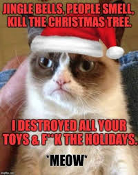 25 Trendy Funny Christmas Memes Jokes Grumpy Cat In 2020 Grumpy Cat Humor Grumpy Cat Meme Grumpy Cat Meme Christmas