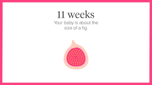 You might notice some early signs of pregnancy , such as morning sickness and food cravings. 11 Weeks Pregnant Symptoms Tips And More