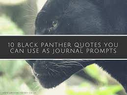 What gil scott was hearin when our heroes and heroines got hooked on heroin. 10 Black Panther Quotes You Can Use As Journal Prompts Leanne Lindsey