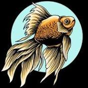 Your fish stock images are ready. 37 61