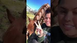 Keeping this filly! 🐴 Here's why Kirby is staying with us instead of being  sold.