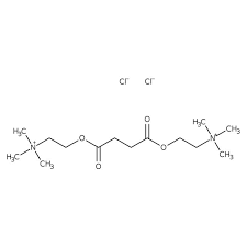 Image result for Succinylcholine
