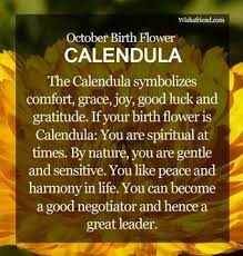 Birth Flower For Each Month Meanings October Birth Flower October Birth Flowers Birth Flowers Birth Month Flowers