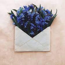You can copy and paste the aesthetic letters into your bio so long as the social media platform that you're using allows it. Flowers Blue And Letter Image Flower Aesthetic Vibrant Flower Flower Art
