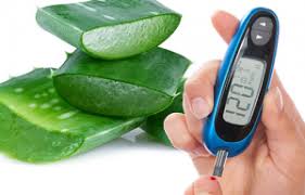 Entdecke rezepte, einrichtungsideen, stilinterpretationen und andere ideen zum ausprobieren. 7 Razones Para Utilizar Aloe Vera Para Tratar La Diabetes Saviloe
