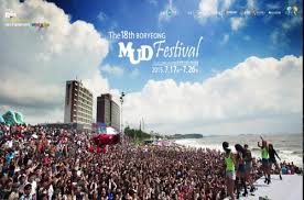 Image result for boryeong mud festival