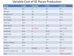 Uga Pecan Extension Cost Of Pecan Production