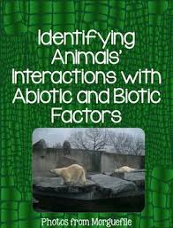 7 Ideas To Teach Ecosystems And Food Webs Ecosystems Teaching Biology Abiotic