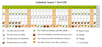 Cela fonctionne à merveille pour les salades par exemple. Jardiner Avec La Lune Au Potager En Avril
