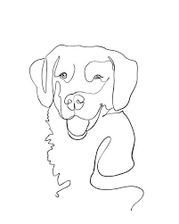 Draw a collar and head. Pin On Art
