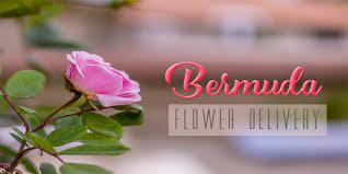 The 4 Best Options For Flower Delivery In Bermuda 2021