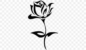 We did not find results for: Tribe Tribal Name Image Black Rose Png 768x482px Tribe Artwork Black And White Black Rose Branch
