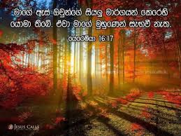 Maybe you would like to learn more about one of these? Sinhala Bible Words Wallpaper Jesus Words Images Sinhala 709x450 Download Hd Wallpaper Wallpapertip