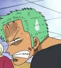 Roronoa Zoro One Piece Meme One Piece Funny Anime Meme Face