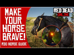 Make Your Horse Brave!⭐ Rdo Horse Guide Faq - Youtube