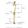 Vector illustration informative medical scheme. 1