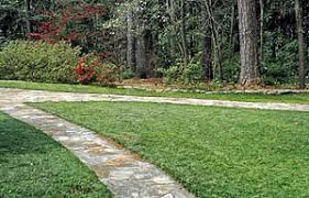 Not Your Ordinary Lawn Growing A Greener World