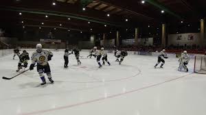 Unsere jungs waren von beginn an hellwach und liesen die scheibe. Highlights Wanderers Germering Erc Lechbruck 23 10 20 Youtube