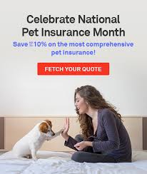 Products underwritten by veterinary pet insurance company (ca), columbus, oh, an a.m. Petplan Pet Insurance How Much Does Pet Insurance Cost Milled