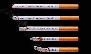 No smoking day is observed every 2nd wednesday of every march across the world to encourage people to quit smoking. Say No To Smoking Say Yes To Life 13 March World No Smoking Day