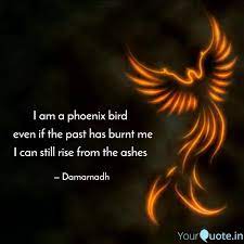 The phoenix is a fabulous and sacred bird. I Am A Phoenix Bird Eve Quotes Writings By Anil Damarnadh Yourquote