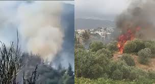 «ότι και να λέει, ότι και να κάνει κάποιος, το δικό μου καθήκον είναι να είμαι σμαράγδι, με χρώμα πάντα λαμπερό». Y8dznkarnlurdm