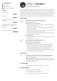 sales resume: examples for a sales