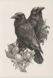 Artist Spotlight Vanessa Foley Bird Sketch Bird Drawings Realistic Sketch
