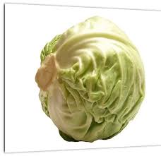 Image result for hlávková kapusta