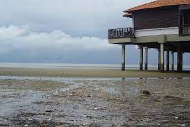 See 1,978 traveler reviews, 3,248 candid photos, and great deals for avillion port dickson, ranked #5 of 48 hotels in port dickson and rated 3.5 of 5 at tripadvisor. Crabs On Riau Beach Low Tide Picture Of Avillion Port Dickson Port Dickson Tripadvisor