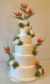 They have a truly amazing shape and are a favourite of many designers and architects. Bird Of Paradise Ann S Designer Cakes