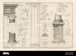 Image result for Plinthus