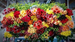 Simply the best florist in sacramento! Wholesale Strelitzia Flower Company