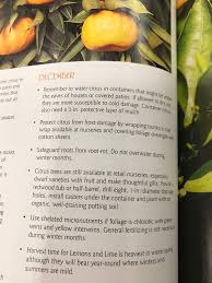 Depending on the soil and the specific irrigation system used in the garden, mulch must be kept well away from the trunk of citrus trees. Pin By Lili Gonzalez On Citrus Trees Citrus Trees Citrus Mulch