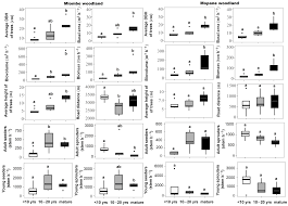 Image result for Afrocanthium lactescens